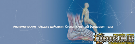 1791117633511.png