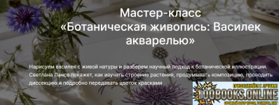1791223534624.png