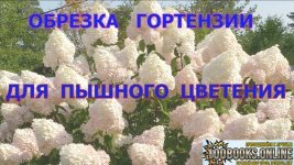 1791553231260.jpg