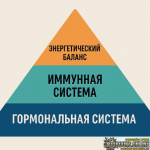 1791641131429.png