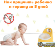 1792662173174.png
